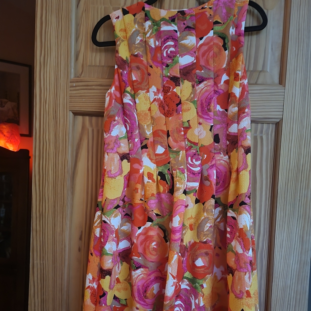 Shelby & Palmer Size Large Dress- New
